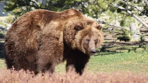 魔鬼山新手速达径｜2小时轻松征服，探古迹赏维港风光